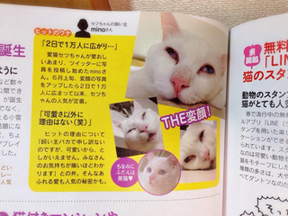 Illustration for article titled The Cat with the "Ugliest Sleeping Face in Japan"
